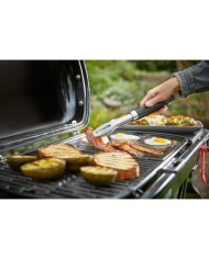 Barbecue a gas Weber Traveler