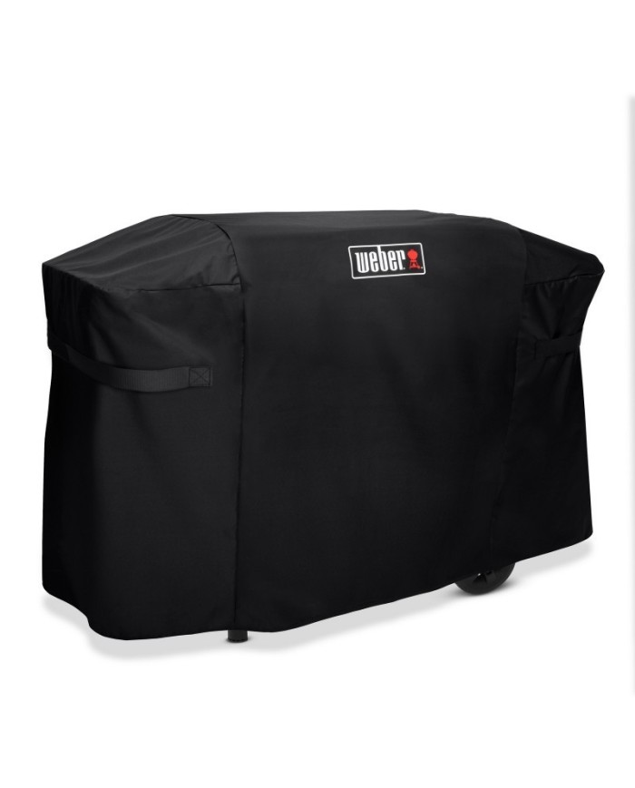 Custodia per piastra slate 71 cm Weber