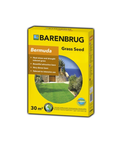 Semi per prato Barenbrug Bermuda PAN-AM 500 gr