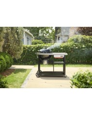 Barbecue a Carbone Weber Performer Premium 57 cm