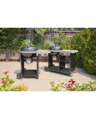 Barbecue a carbone Weber Performer Premium Smart 57 cm