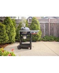 Barbecue a Carbone Weber Performer Smart 57 cm