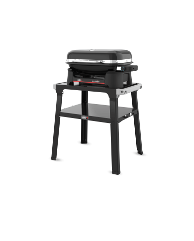 Barbecue Elettrico Weber Lumin con Stand