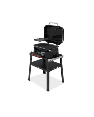 Barbecue Elettrico Weber Lumin con Stand