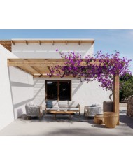 Set4 salotto Apollus Bizzotto