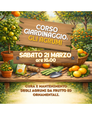21 Marzo 2026 Ore 16 - Coltivare gli Agrumi con Successo - Corso Giardinaggio