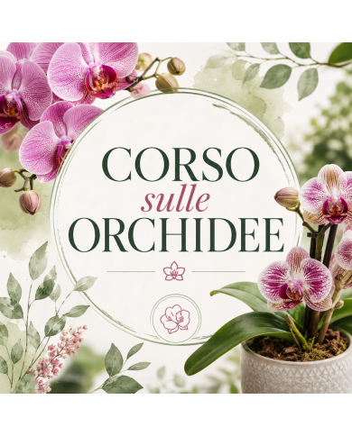 26 Settembre 2026 Ore 15 - L'orchidea - Corso Giardinaggio
