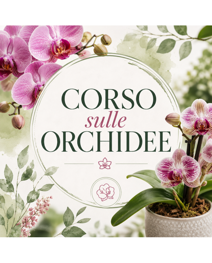 26 Settembre 2026 Ore 15 - L'orchidea - Corso Giardinaggio