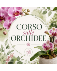 26 Settembre 2026 Ore 15 - L'orchidea - Corso Giardinaggio