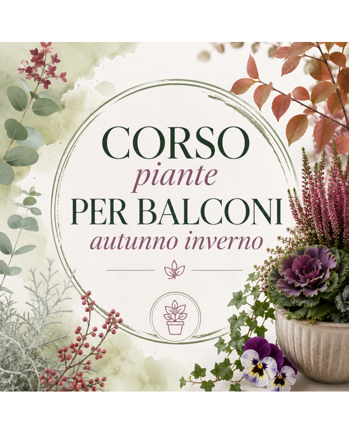10 Ottobre 2026 Ore 15 - Piante Balconi Autunno, Inverno - Corso Giardinaggio