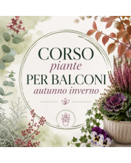 10 Ottobre 2026 Ore 15 - Piante Balconi Autunno, Inverno - Corso Giardinaggio