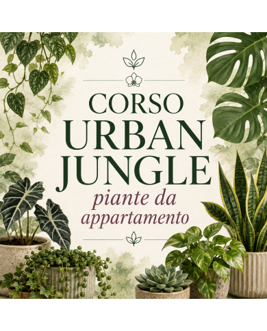 24 Ottobre 2026 Ore 15 - Urban Jungle: Piante Verdi da Interno - Corso Giardinaggio