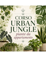24 Ottobre 2026 Ore 15 - Urban Jungle: Piante Verdi da Interno - Corso Giardinaggio