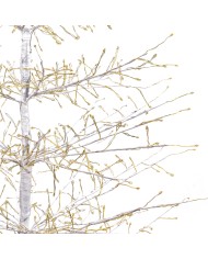 Albero MicroLED Conico Tiglio Bianco h150 cm Lotti