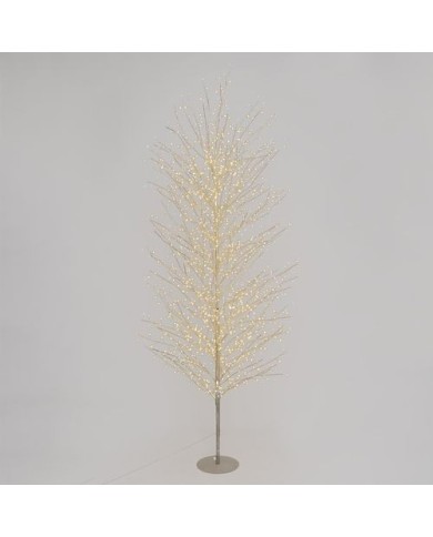 Albero MicroLED Tiglio Champagne Lotti