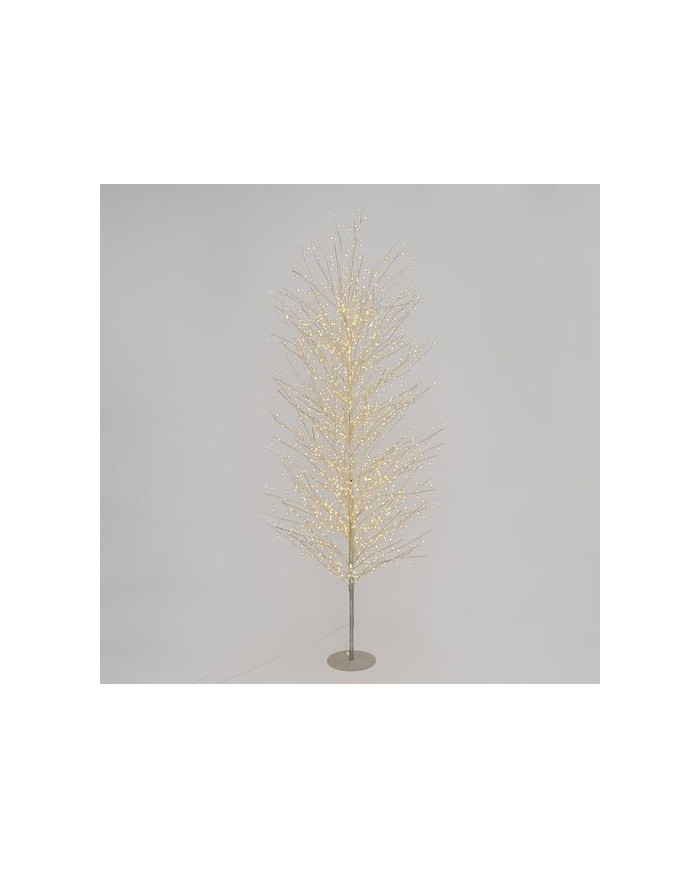 Albero MicroLED Tiglio Champagne Lotti