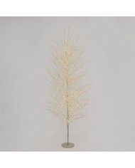 Albero MicroLED Tiglio Champagne Lotti
