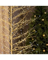 Albero MicroLED Tiglio Champagne Lotti