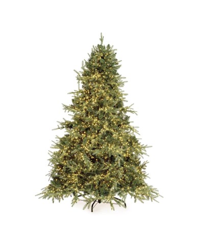 Albero di Natale Con LED Ritten Bizzotto