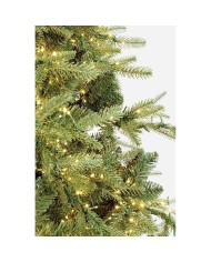 Albero di Natale Con LED Ritten Bizzotto