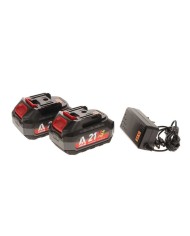 Abbacchiatore a Batteria Oliwatt 3 Plug-In Asta Telescopica con 2 Batterie 5Ah e Caricabatteria Lisam