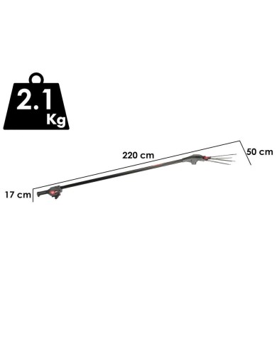 Abbacchiatore a Batteria Imola GP Plug-In Asta Fissa con 2 Batterie 5Ah e Caricabatteria Lisam
