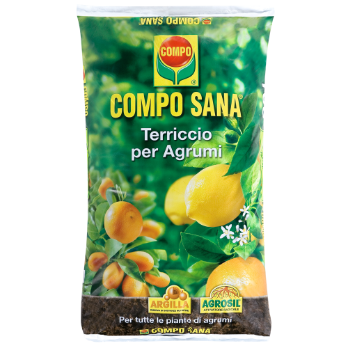 Terriccio Compo sana per agrumi e piante mediterranee Terriccio Compo sana per agrumi e piante mediterranee