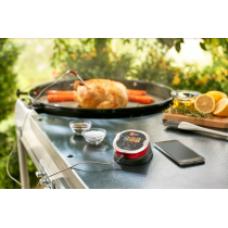 Termometro barbecue Weber iGrill 2 7221 Termometro barbecue Weber iGrill 2 7221