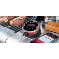 Termometro barbecue Weber iGrill 2 7221 Termometro barbecue Weber iGrill 2 7221