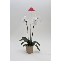 Venso ecosolutions lampada led sunlite per piante da interno indoor