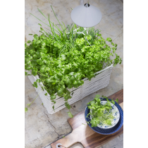 Venso ecosolutions lampada led sunlite per piante da interno indoor