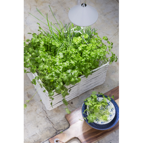 Venso ecosolutions lampada led sunlite per piante da interno indoor