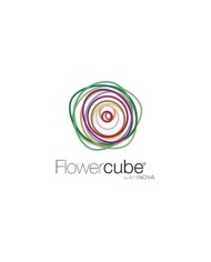 FlowerCube, la tua Rosa Stabilizzata